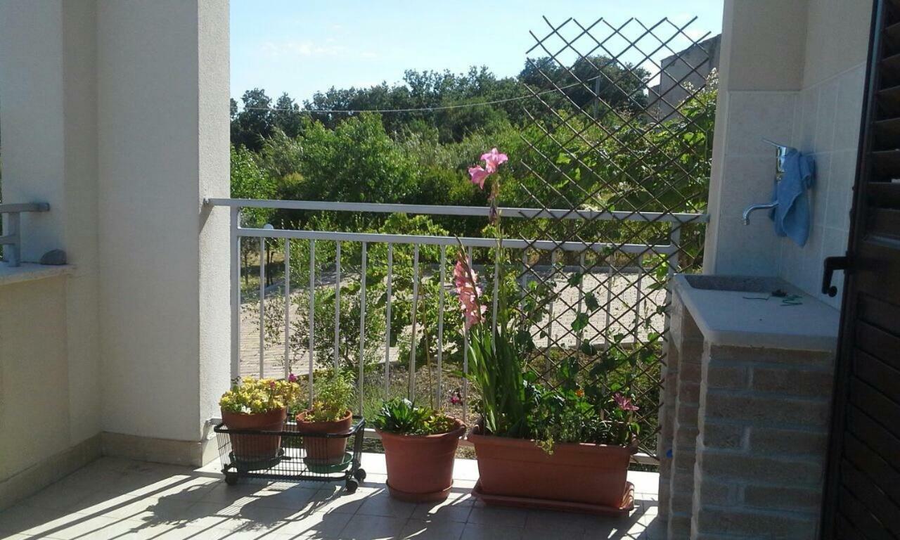Casa Gelso Villa Vasto Esterno foto